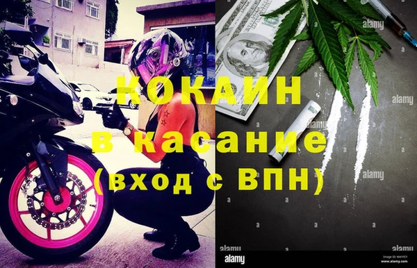 прущие грибы Алексин