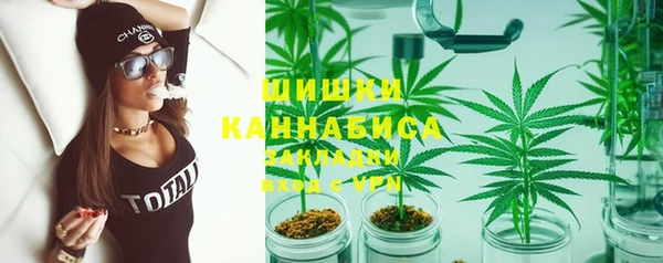 прущие грибы Алексин