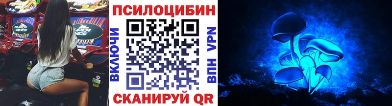 нарко площадка какой сайт Тавда Псилоцибиновые грибы Psilocybe где купить наркотик