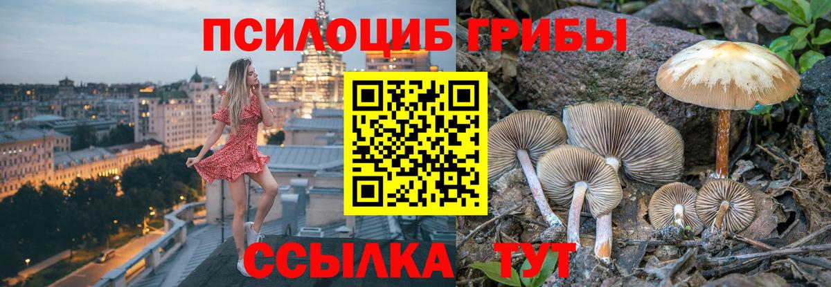 Псилоцибиновые грибы Magic Shrooms  Вход с VPN  что такое наркотик  Тавда 
