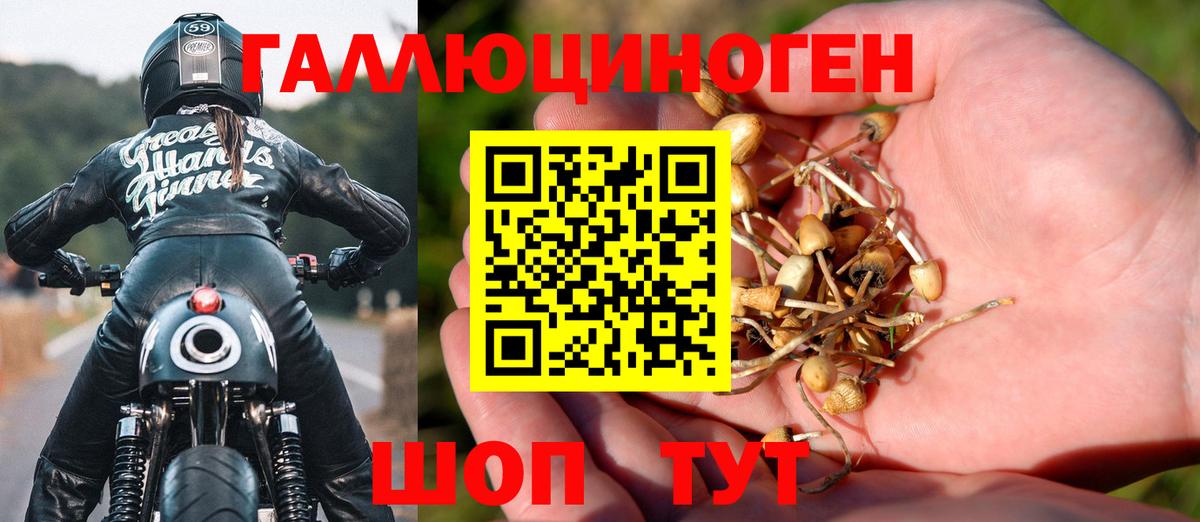 Галлюциногенные грибы GOLDEN TEACHER Тавда
